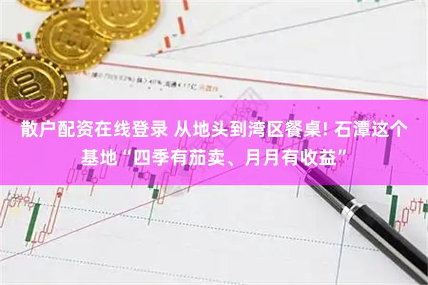 散户配资在线登录 从地头到湾区餐桌! 石潭这个基地“四季有茄卖、月月有收益”